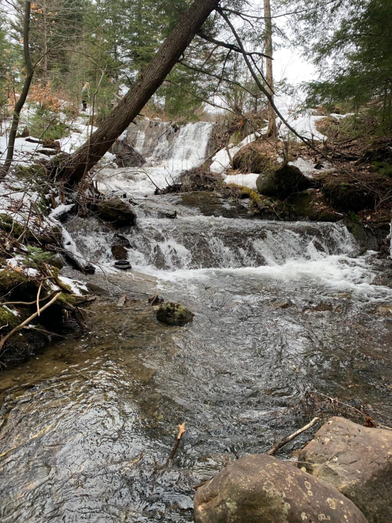 Paradis Sauvage Geronimo Saint-Etienne-de-Bolton Extérieur photo